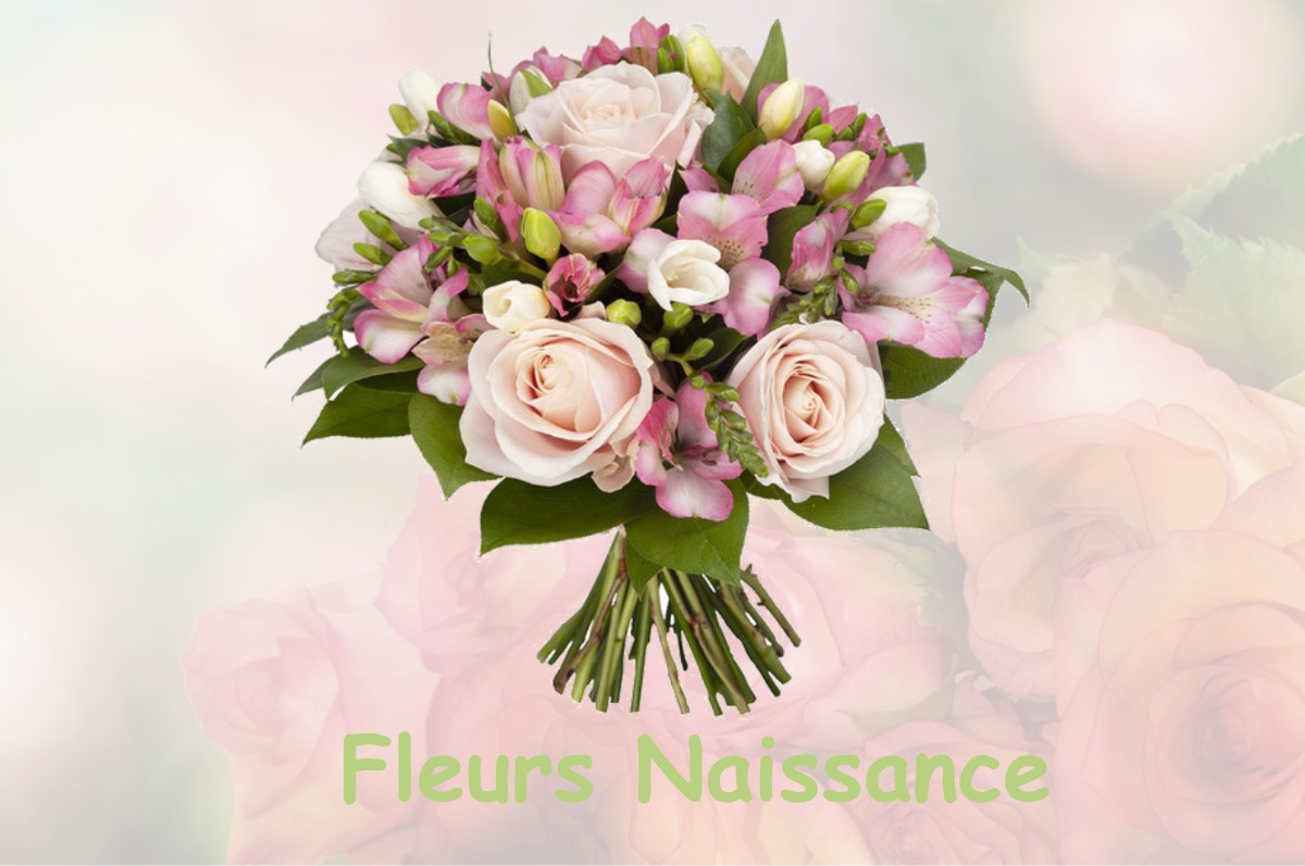 fleurs naissance LA-BUISSIERE