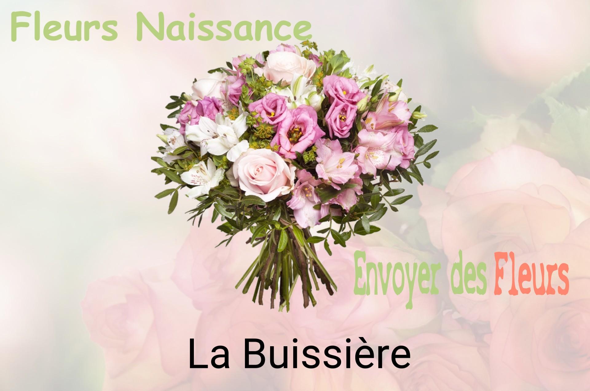 Bouquet de fleurs de naissance livré à La Buissière