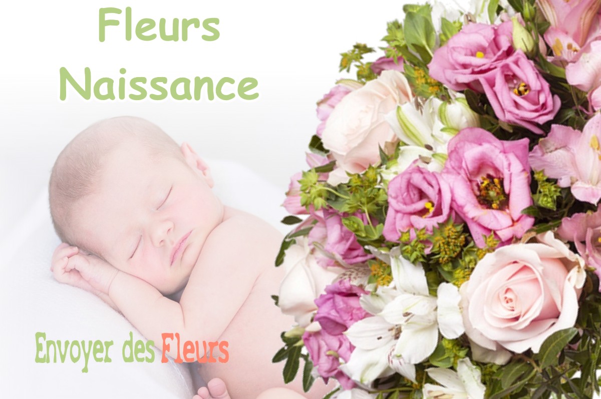 lIVRAISON FLEURS NAISSANCE à LA-BUISSIERE